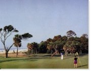 Coastal Georgia Gated and Golf Communities
