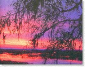 Darien Georgia river and marsh views