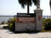 St Mary's Ga Cumberland Island 