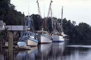 St Mary's Ga St Marys Georgia Shrimp Boats