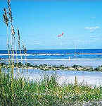 Ocean front real estate Jekyll Island Georgia