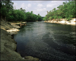 River front real estate St Simons Island Georgia